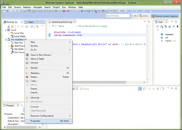 Setting up Eclipse for Rasperry Pi Development - Remote Connection Properties