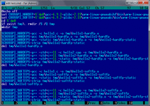 Build script showing usage of Raspberry Pi cross-compiler